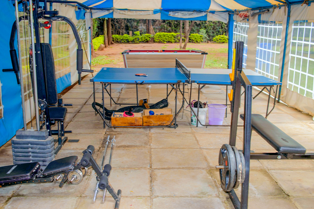 Gym Area - The Optimum Center