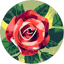 Ann Chabari profile picture